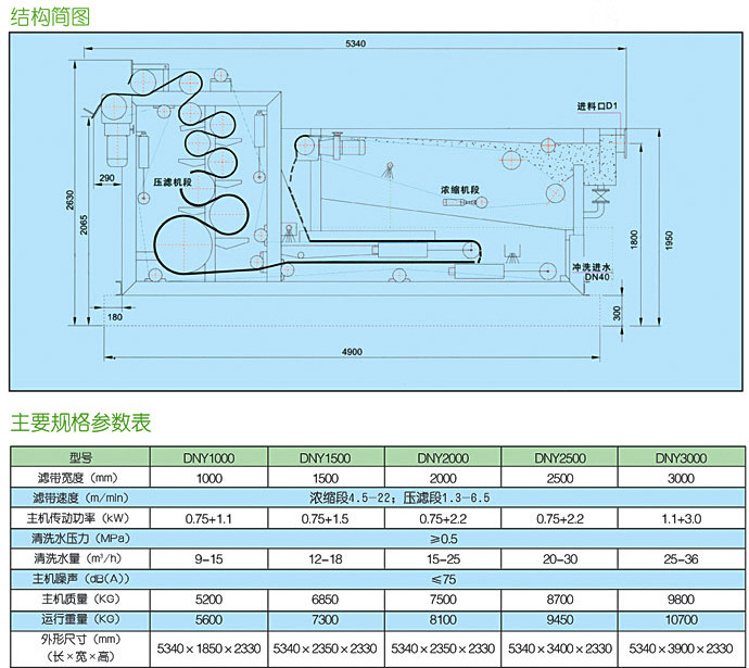 DNY25_副本CS.jpg